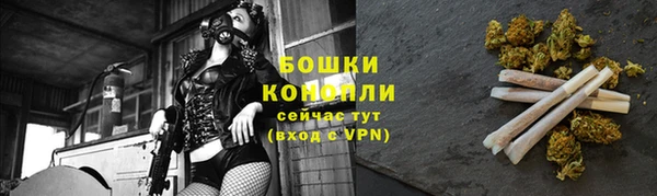 спайс Михайлов