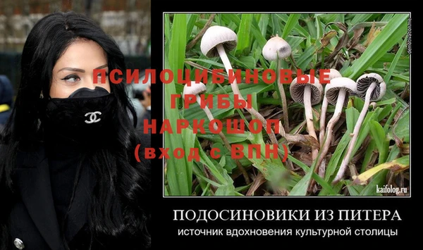 метадон Михайловск