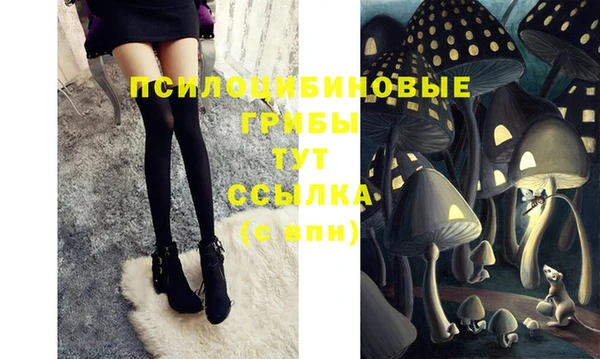 спайс Михайлов