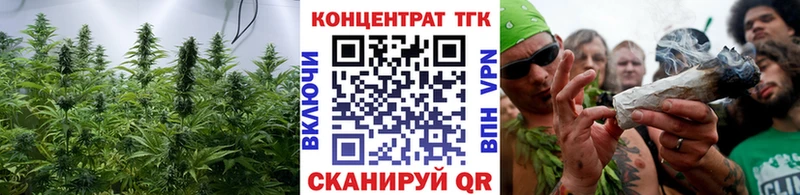 Купить  Старица  Дистиллят ТГК THC oil 